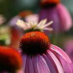 澳门一号游戏全景解读与玩家攻略分享 4hk8k9wyv