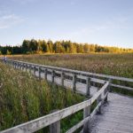 651试机号历史开奖号码完整查询与走势分析 5fvc8dd06n