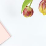 澳门不夜城娱乐产业全景报道与夜生活体验分享 b6newz