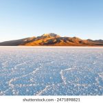 66现场开奖最新结果今日震撼揭晓 bd894