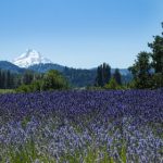 66直播电视直播平台,高清流畅的在线观看体验 r9jp3i5r