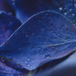 NBA免费视频直播:畅享高清赛事全程在线观看 sk58m